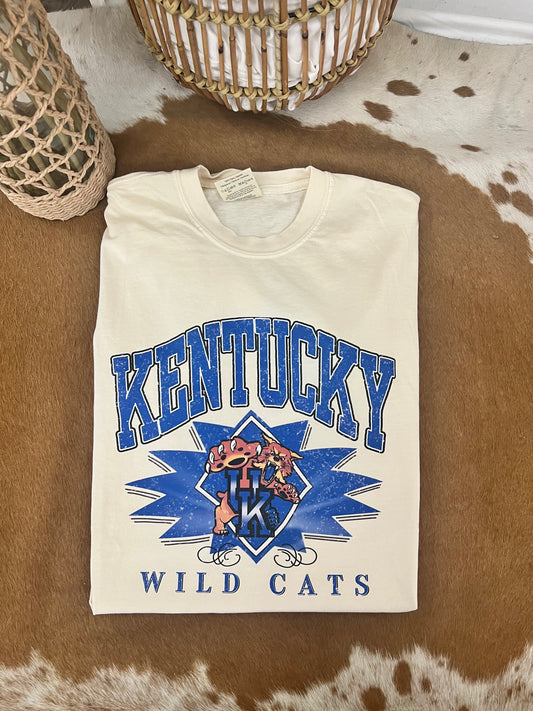 Vintage Kentucky Comfort Colors
